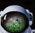 Catlin: Brand Campaign - Moonman