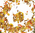 Veolai: Kids Campaign - Leaves