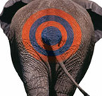 Winn-Dixie: Sports Sponsorship - Florida Gators