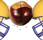 Winn-Dixie: Sports Sponsorship - LSU Tigers