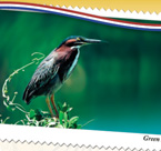 Florida State Parks Gold Medal Calendar