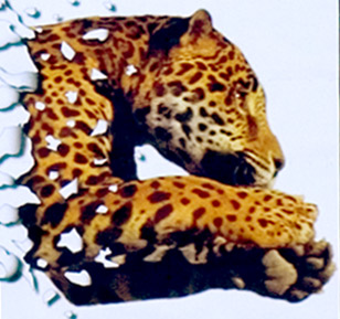 Winn-Dixie: Jaguars Outdoor