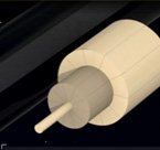 Predator Cues P3 Microsite