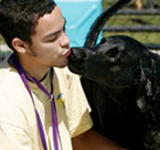 Pet Paradise Website Design