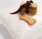 Pet Paradise Luxury